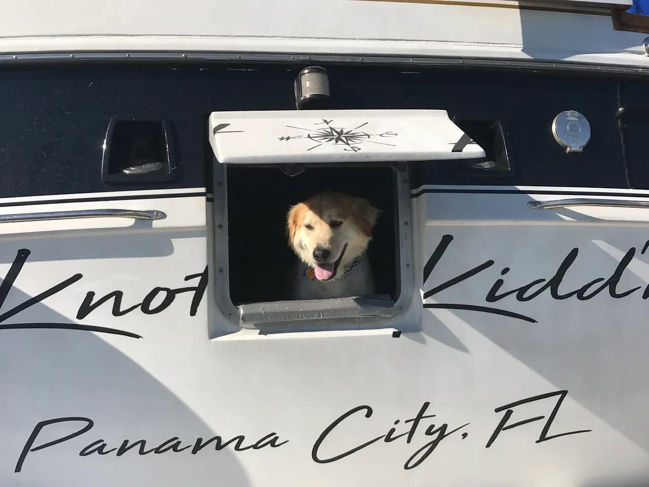 Great Loop - Dog companion on the journey