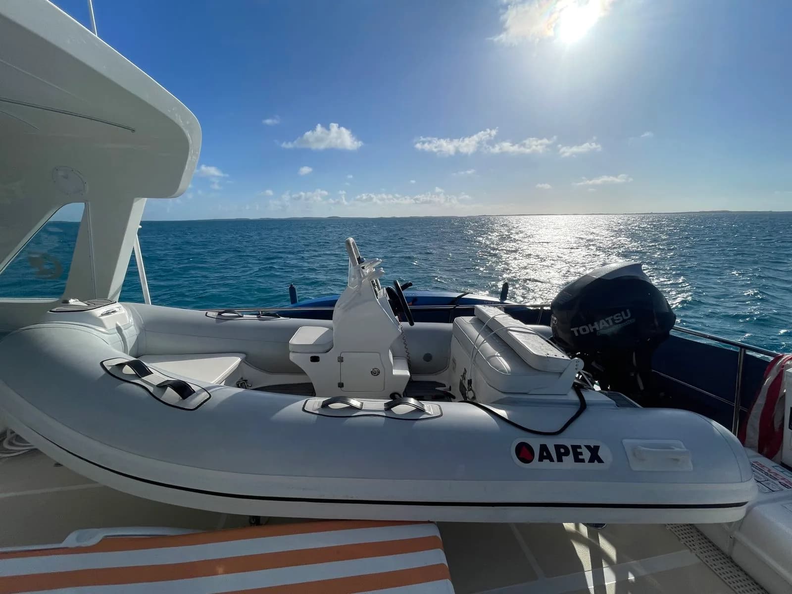 2017 Apex A12DLX - Photo 1